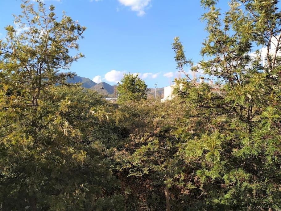Brisa Quebrada Beach, 2 Bed, Sea Views, Pool 베날마데나코스타 외부 사진